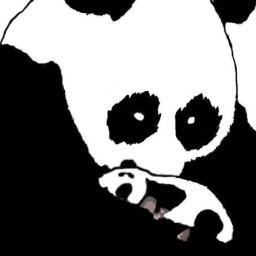 Avatar of user For The Love Of Pandas
