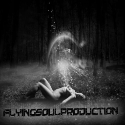 Avatar of user Flyingsoulproduction