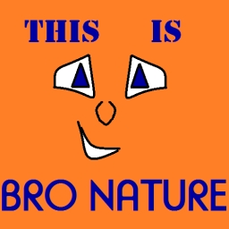 Avatar of user Bro Nature