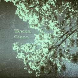 Avatar of user Window Crane