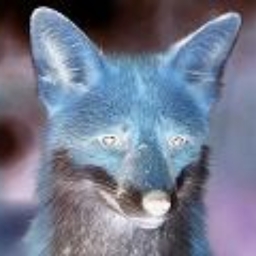Avatar of user the ethereal  fox