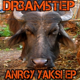Avatar of user Dr3am5tep