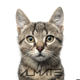 Avatar of user almate