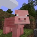 Avatar of user piggy
