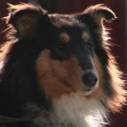 Avatar of user Deogee