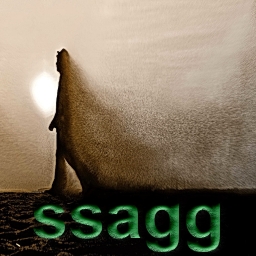 Avatar of user ssagg