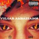 Cover of album Vulgar Ambassador Mixtape  by P-Tree