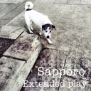 Cover of album Extended Play by sapporo