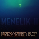Cover of album Unwanted Fat by Menelik II
