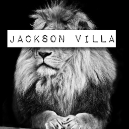 Avatar of user Jackson Villa