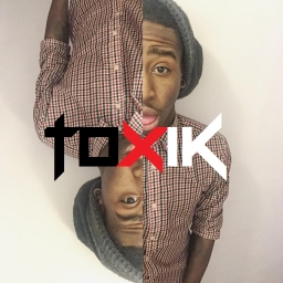 Avatar of user Tox1k