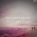 Cover of album Efflorescence LP by Zerod