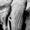 Cover of album Experimental by Jordi Moragues