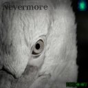 Cover of album Nevermore by Reboot