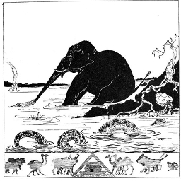 Cover of track analog elephant by noraus1