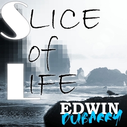 Cover of track Dubarry Edwin-Slice Of Life by Crazymirande
