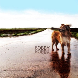 Cover of track bobby by rnzr