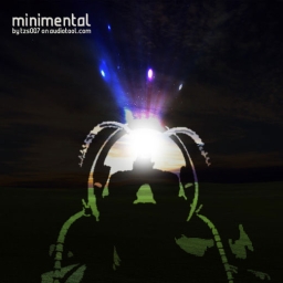 Cover of track minimental by tzs007