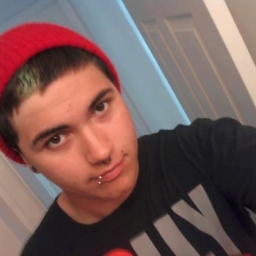 Avatar of user adrianreefer