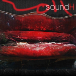Avatar of user soundH
