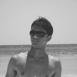 Avatar of user silpatel91