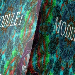 Cover of track Module 1 by Astrum & GriffenE