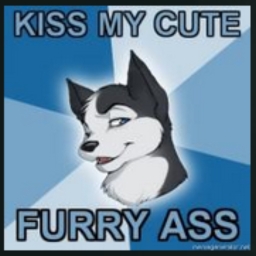 Avatar of user DJFur