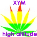Avatar of user XYM