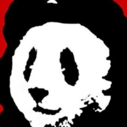 Avatar of user Roger-the-panda