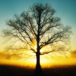 Avatar of user ou81pup