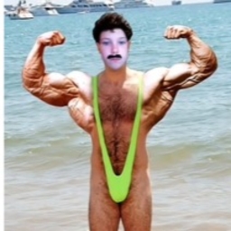 Avatar of user Michael Herbert