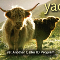 Avatar of user yacattak