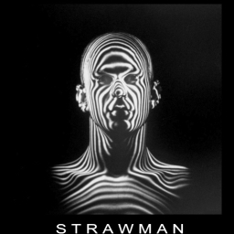 Avatar of user STRAWMAN