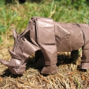 Avatar of user Rhinoputa