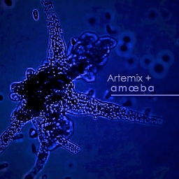 Avatar of user Ketram & Amoeba