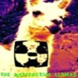 Avatar of user Radioactive Llamas