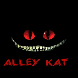 Avatar of user aLLey_kAt
