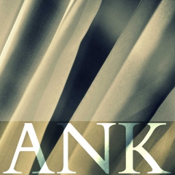 Cover of track The New Me by ANKH