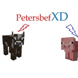 Avatar of user Petersbef XD