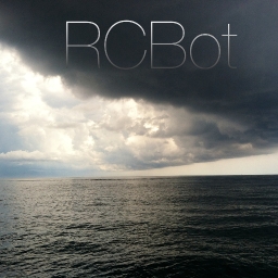 Avatar of user RCBot