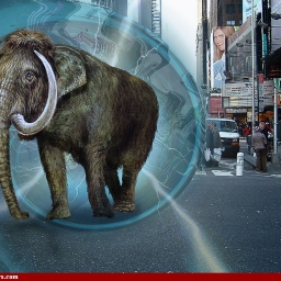 Avatar of user mammoth machine