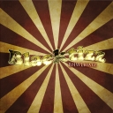 Cover of album Dubstep by BHWLbeatz - Negstizo
