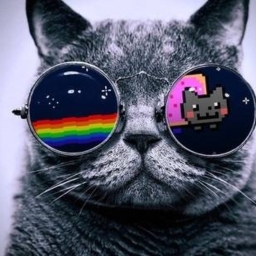 Avatar of user XxSatoshiMeowingtonxX