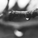 Cover of album Greyed Emotions EP by VLTRA