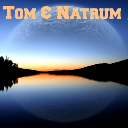 Avatar of user t0m And Natrum