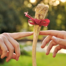 Avatar of user Samotny Pasterz