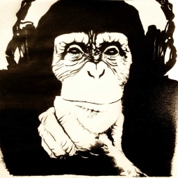 bigg boss monkey buy online