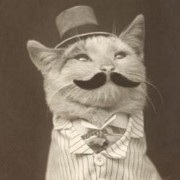 Avatar of user The Mustache Cat