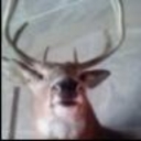 Avatar of user pabli lopez