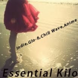 Avatar of user Essential Kilo